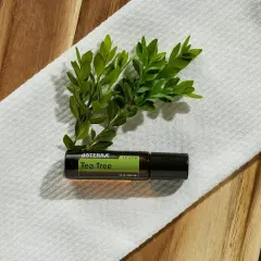 Aceite árbol de té roll-on, con hojas verdes. Considera las contraindicaciones antes de usar.