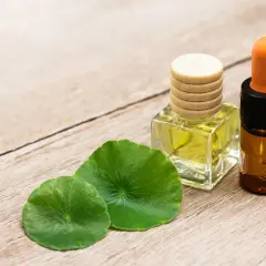 Aceite de cica en frascos de vidrio con hojas verdes sobre madera.