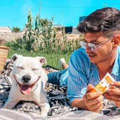 Protector solar para perros: evita quemaduras y cuida su piel