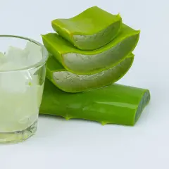 Un vaso con trozos de aloe vera y hojas cortadas apiladas, listas para usar.