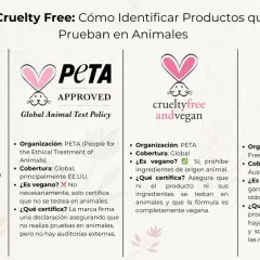 Sellos Cruelty Free: Conoce las marcas que no prueban en animales. Incluye logos de Cruelty Free International, PETA, Crueltyfree andvegan y Not Tested on Animals.