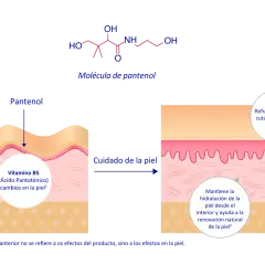 La molécula de pantenol (Vitamina B5) mejora el cuidado de la piel, reforzando su barrera, hidratando y suavizando.