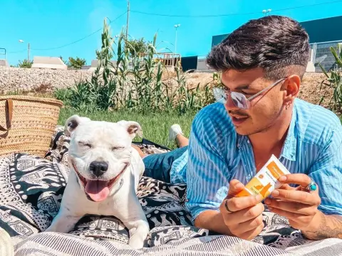 Protector solar para perros: evita quemaduras y cuida su piel