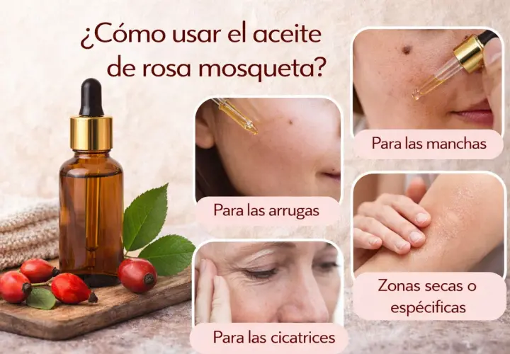 Aceite de rosa mosqueta: ideal para arrugas, manchas, cicatrices y zonas secas.