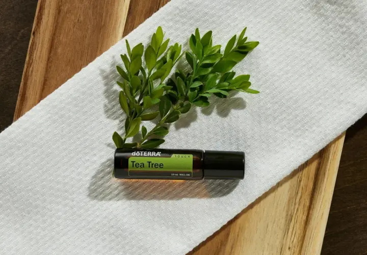 Aceite árbol de té roll-on, con hojas verdes. Considera las contraindicaciones antes de usar.