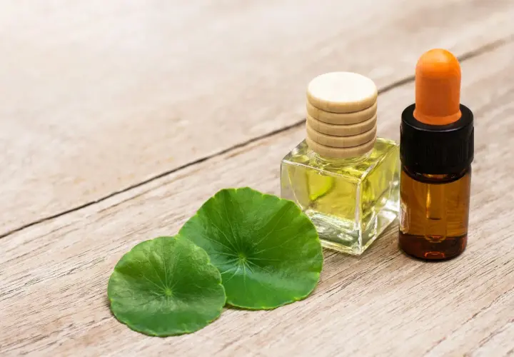 Aceite de cica en frascos de vidrio con hojas verdes sobre madera.