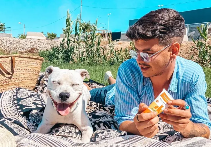 Protector solar para perros: evita quemaduras y cuida su piel