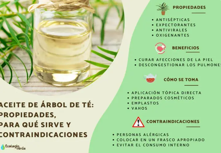 Aceite de árbol de té: sus propiedades antisépticas y antivirales explican para qué sirve, como curar afecciones de la piel.