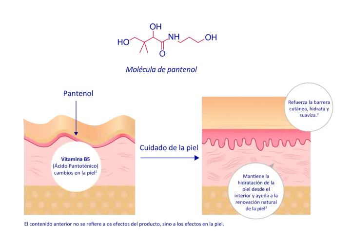La molécula de pantenol (Vitamina B5) mejora el cuidado de la piel, reforzando su barrera, hidratando y suavizando.