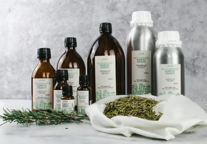 Aceites esenciales de romero en frascos de vidrio y metal, con ramitas frescas y romero seco. El aroma de linalool impregna la escena.