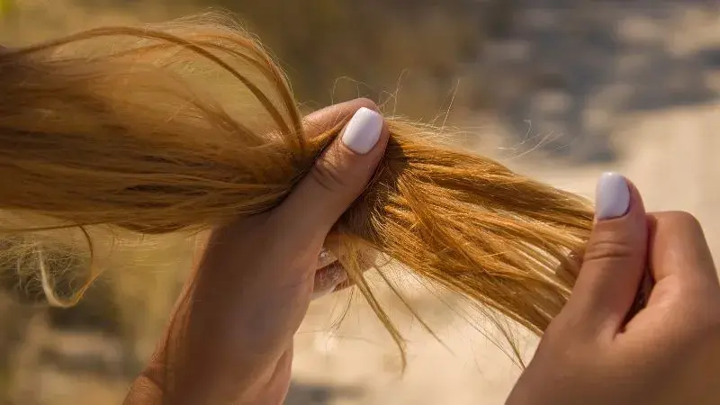 Tratamiento pelo dañado y seco: soluciones efectivas para recuperar tu cabello