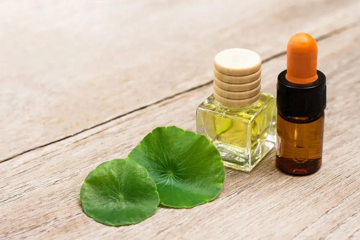 Aceite de cica en frascos de vidrio con hojas verdes sobre madera.