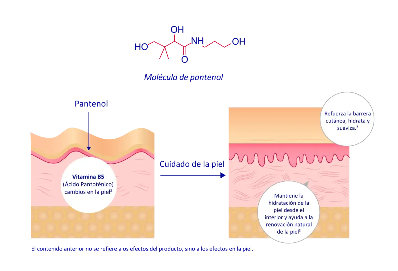 La molécula de pantenol (Vitamina B5) mejora el cuidado de la piel, reforzando su barrera, hidratando y suavizando.