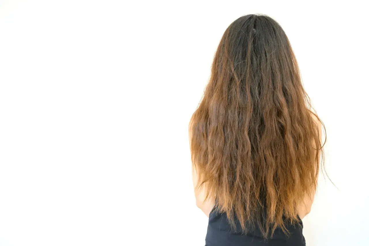 Cabello largo y castaño, con puntas secas. Descubre cómo hidratar el pelo para un aspecto saludable y brillante.
