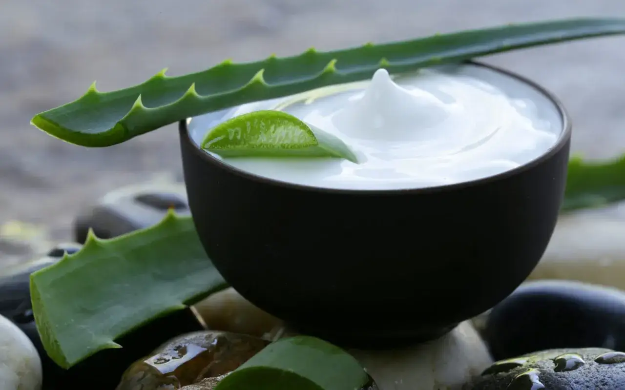 Crema blanca en un cuenco oscuro rodeada de hojas de aloe y piedras húmedas. El aloe aporta frescura y bienestar.