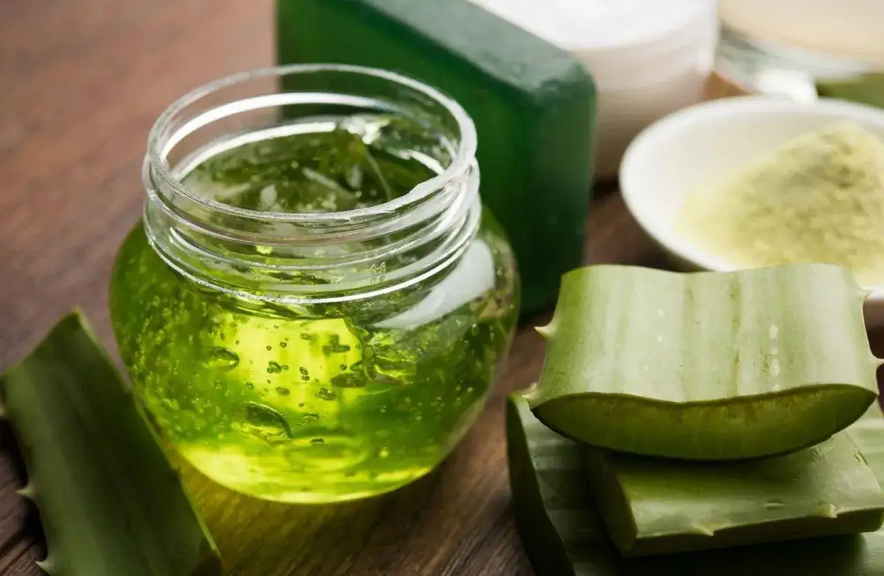 Tarro de gel de aloe vera y hojas frescas, mostrando las increíbles aloe vera propiedades para el cuidado de la piel.