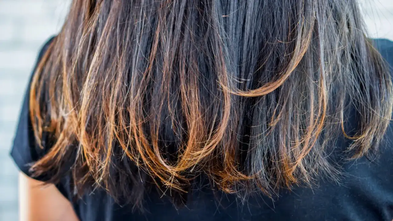 Cabello oscuro con reflejos cobrizos, mostrando puntas abiertas y un aspecto descuidado.