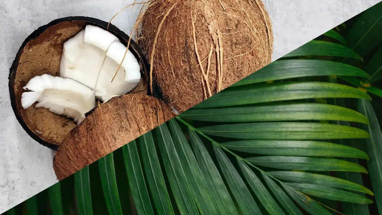Cocos frescos y una hoja verde vibrante, evocando la frescura natural y los ingredientes como el cetearyl alcohol.